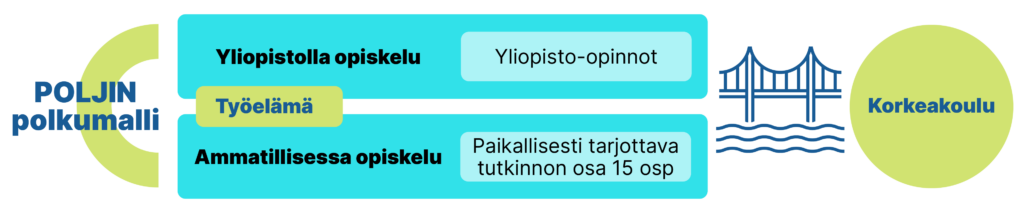 Havainnekuva POLJIN-hankkeessa kehitetystä kasvatustieteelliselle alalle suuntaavasta korkeakouluopintojen mallista. 
